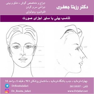 تناسب بینی با سایر اجزای صورت